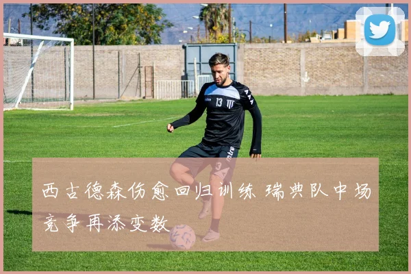 西古德森伤愈回归训练 瑞典队中场竞争再添变数