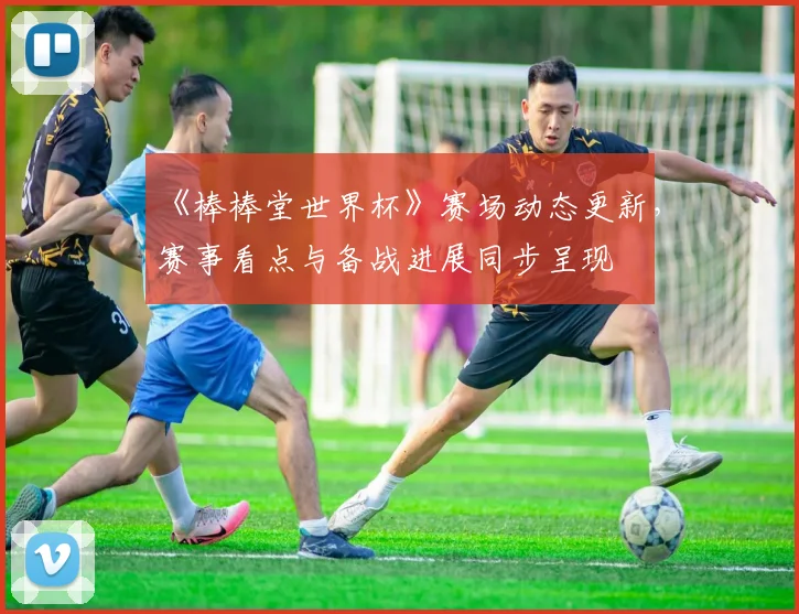 《棒棒堂世界杯》赛场动态更新，赛事看点与备战进展同步呈现